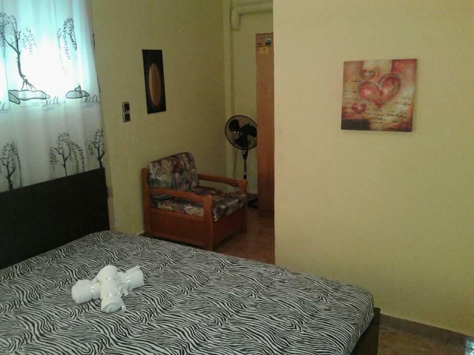 Gatos Apartment Skála Marión エクステリア 写真